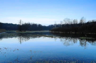 Rezerwat przyrody Cyganka